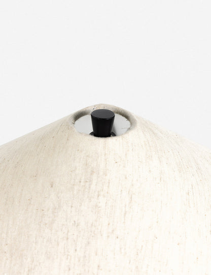 Rayden Table Lamp