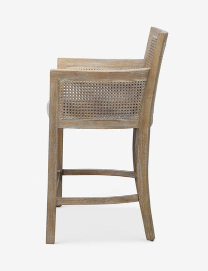 Quincey Counter Stool