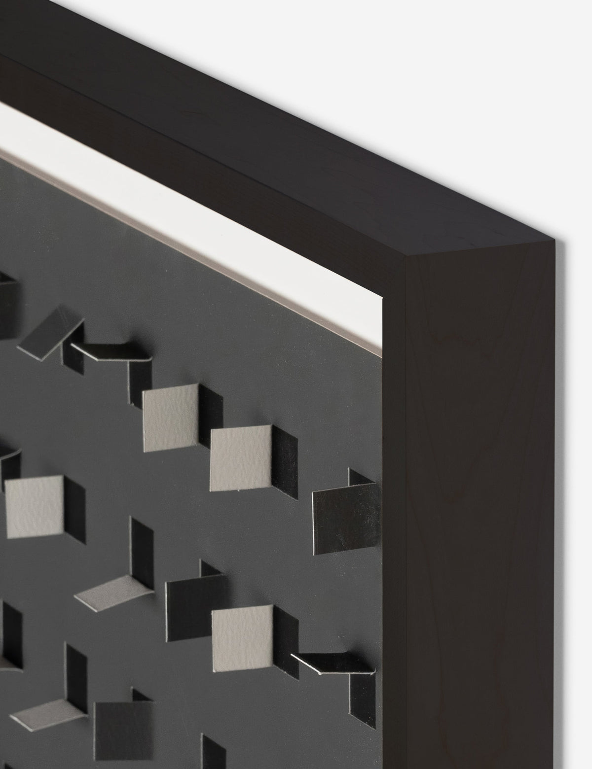 See Through Wall Art