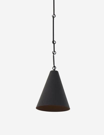Ashwin Pendant Light