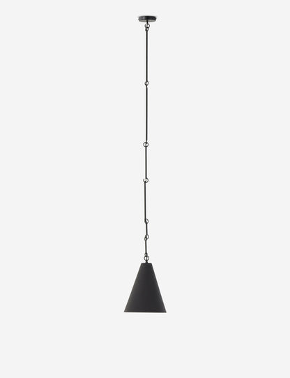 Ashwin Pendant Light