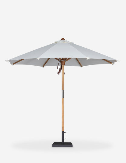 Luzita 9'10" Round Outdoor Umbrella