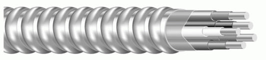 69599902 - MCIG10/2Sol BkWe 10G AA 1000R