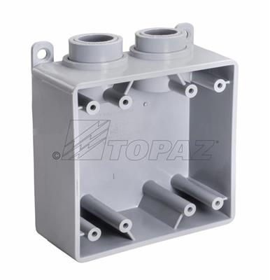 1" Schedule 40 PVC FSS Type Box, Double Gang