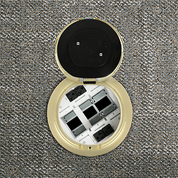 8IN PREWIRED SURF STYLE ASSEMBLY SB SATIN BRASS