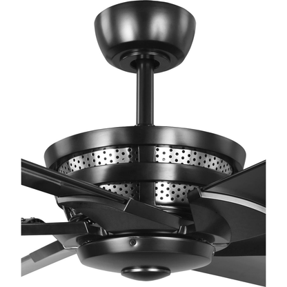 Black ceiling fan with dual mount center.