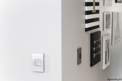 adorne® Satin Nickel 1-Gang Screwless Wall Plate