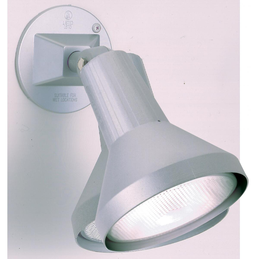 1 Light - 8" Flood Light PAR38 with Adjustable Swivel - Gray Finish