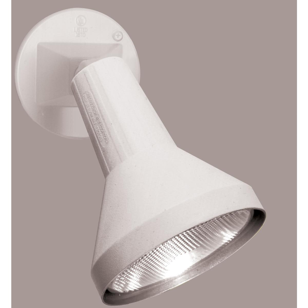 1 Light - 8" Flood Light PAR38 with Adjustable Swivel - White Finish