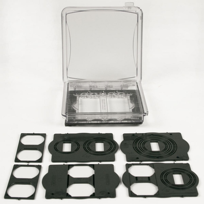 2-Gang Weatherproof Flip Cover, 55-in-1, Flat, Clear
