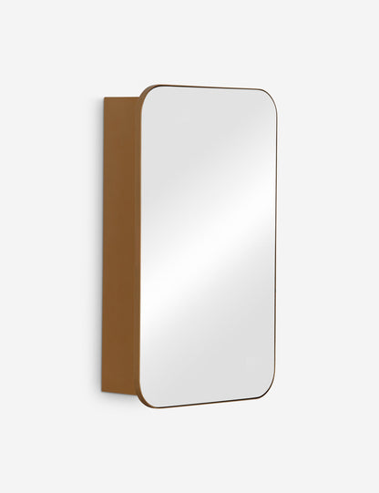 Penca Medicine Cabinet