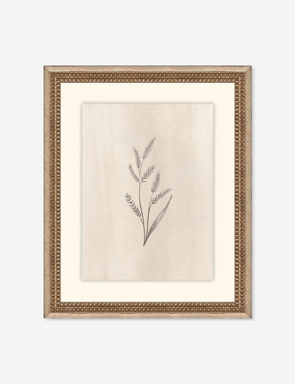 Elegant Botanical II Wall Art by Makai Howell