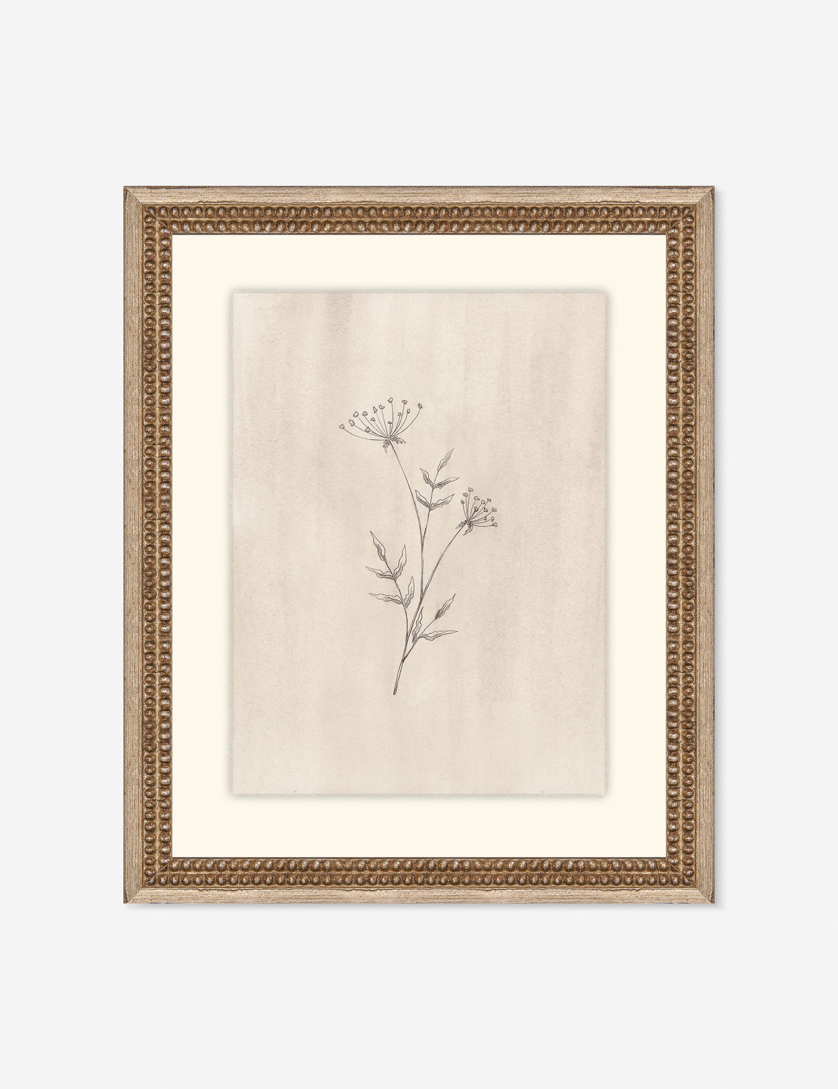 Elegant Botanical IV Wall Art by Makai Howell