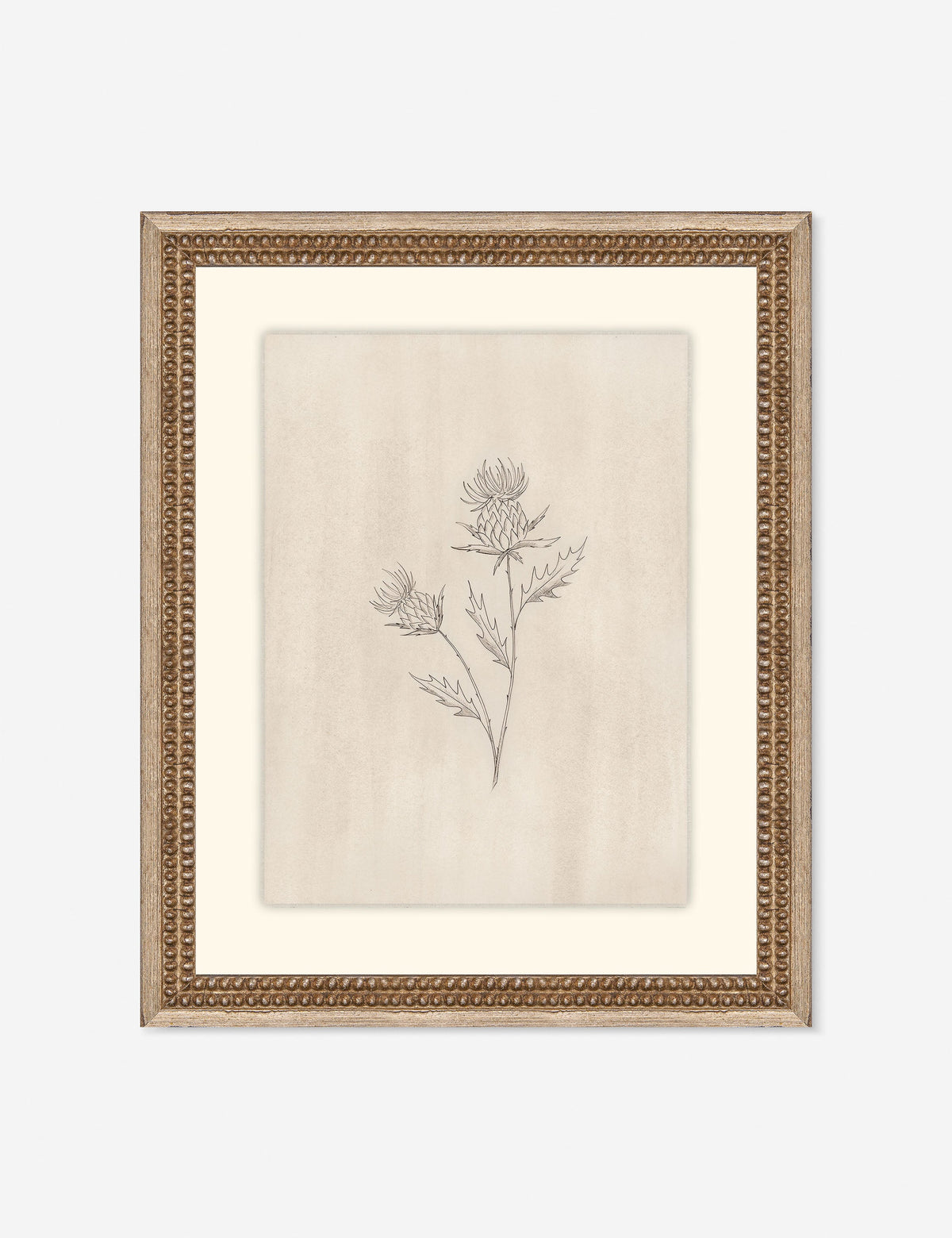 Elegant Botanical V Wall Art by Makai Howell
