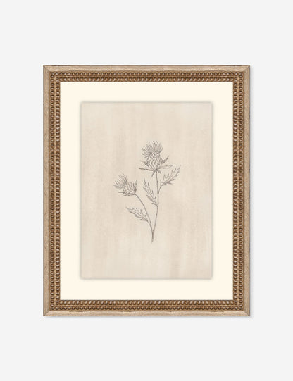 Elegant Botanical V Wall Art by Makai Howell