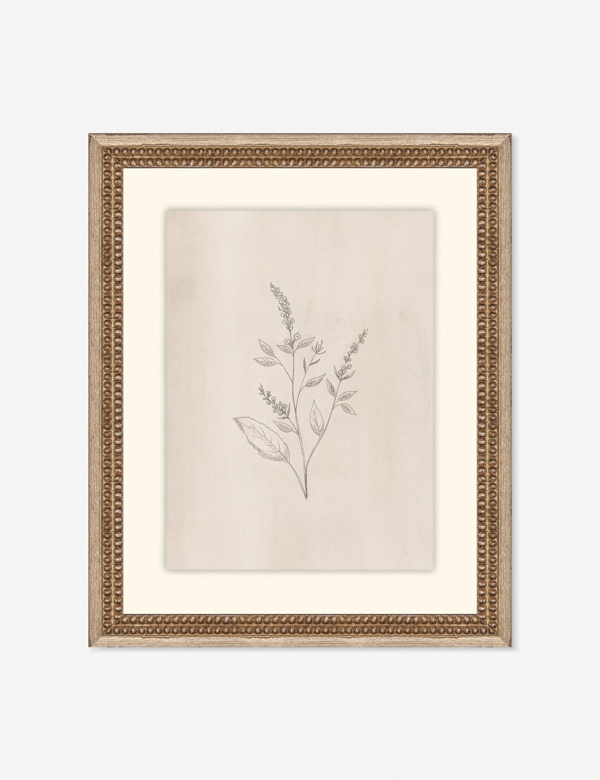 Elegant Botanical VI Wall Art by Makai Howell