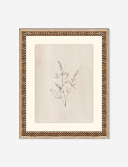 Elegant Botanical VI Wall Art by Makai Howell
