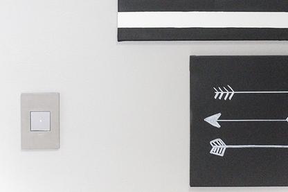 adorne® Satin Nickel 1-Gang Screwless Wall Plate