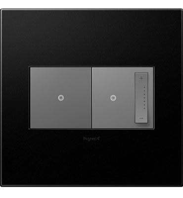 adorne® Graphite 2-Gang Screwless Wall Plate with Microban®