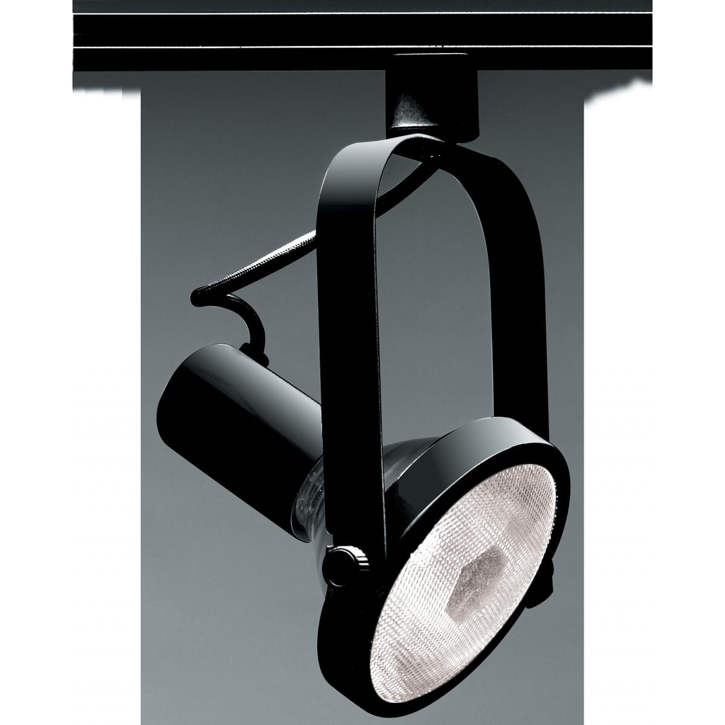 1 Light - PAR38 - Track Head - Gimbal Ring - Black Finish