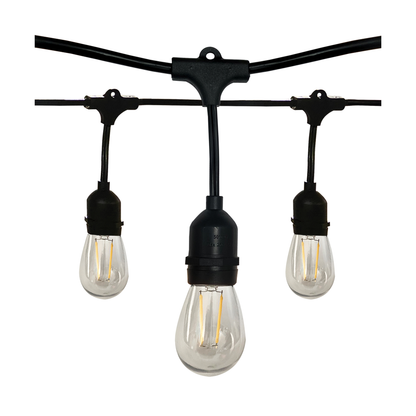 24FT; LED String Light; Includes 12-Light Filament LED bulbs; With Plug