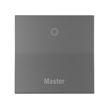 adorne® 15A Paddle™ Switch, Engraved - Master, Magnesium
