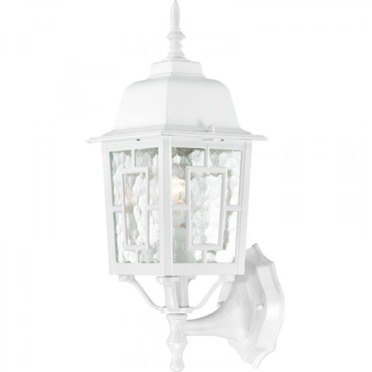 Banyan - 1 Light 17" Wall Lantern with Clear Water Glass - White Finish