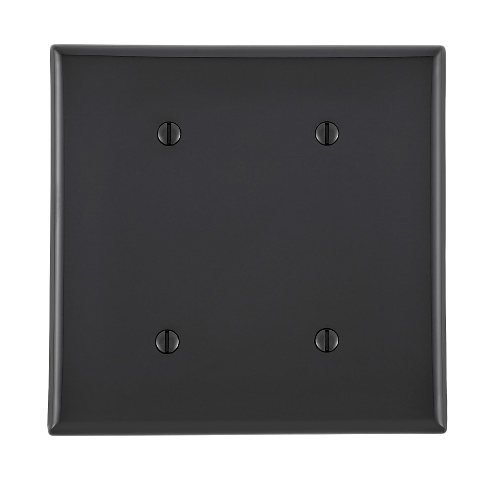 2-Gang Blank Wallplate, Standard Size, Thermoplastic Nylon, Black