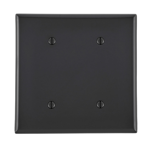 2-Gang Blank Wallplate, Standard Size, Thermoplastic Nylon, Black