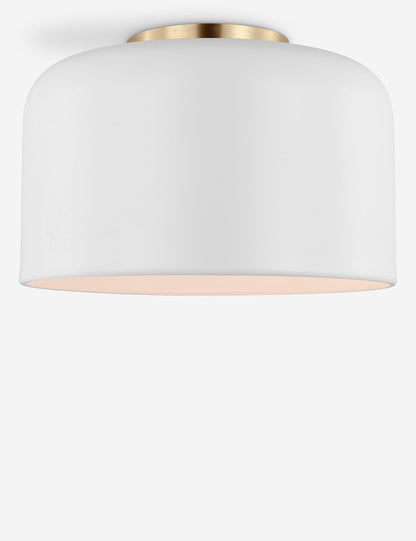 Olaf Flush Mount Light
