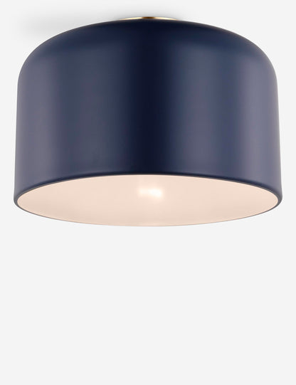 Olaf Flush Mount Light
