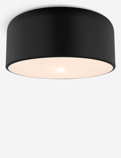 Olaf Flush Mount Light