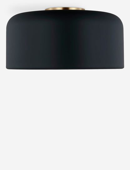 Olaf Flush Mount Light