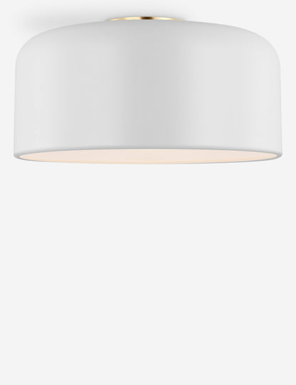 Olaf Flush Mount Light