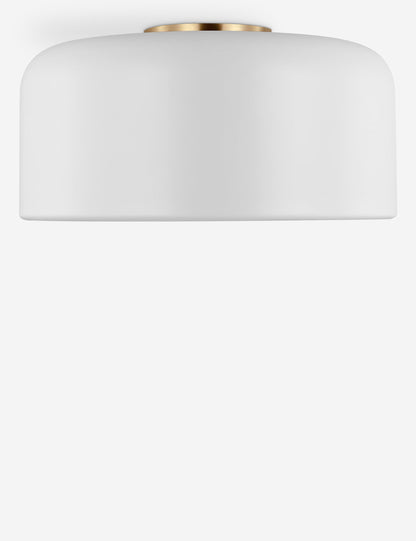 Olaf Flush Mount Light