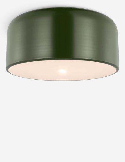 Olaf Flush Mount Light