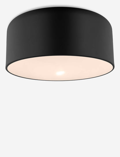 Olaf Flush Mount Light