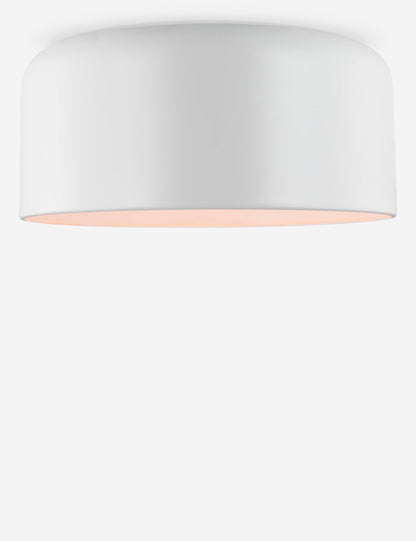 Olaf Flush Mount Light