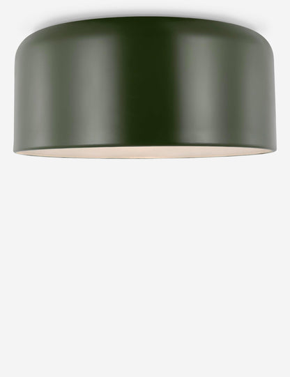 Olaf Flush Mount Light