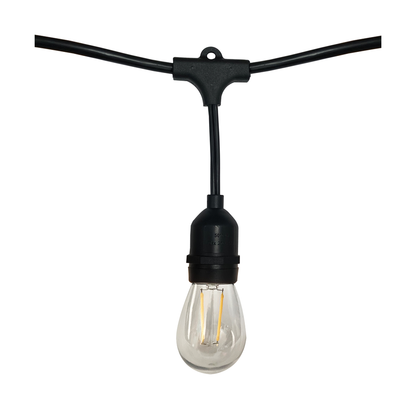 24FT; LED String Light; Includes 12-Light Filament LED bulbs; With Plug