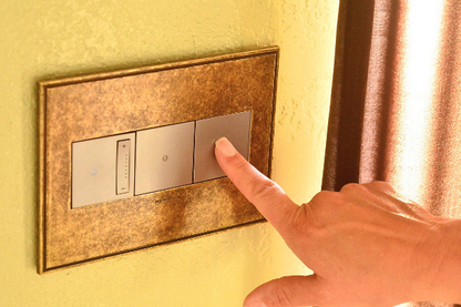 adorne® Satin Nickel 1-Gang Screwless Wall Plate