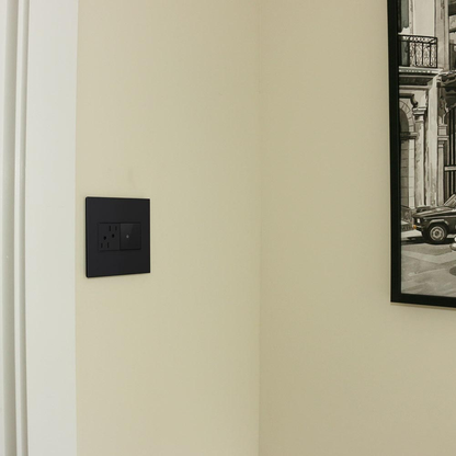 adorne® Graphite 1-Gang+ Screwless Wall Plate with Microban®