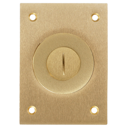 1-Gang Cover, Rectangular, Combination 2-1/8"X 3/4" Threaded Opening, Brass