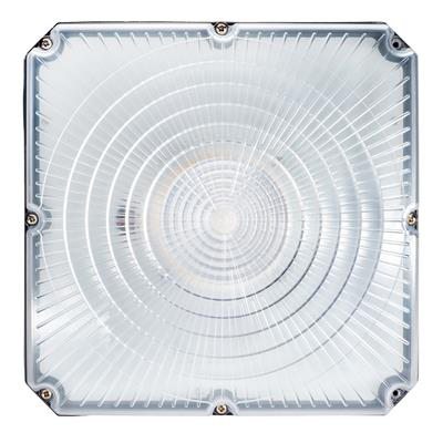 40W LED Canopy 5000K