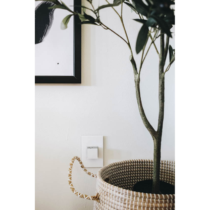 adorne® Gloss White 1-Gang Screwless Wall Plate with Microban®