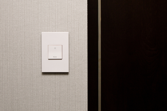 adorne® 15A Paddle™ Switch, Engraved - Master, Magnesium