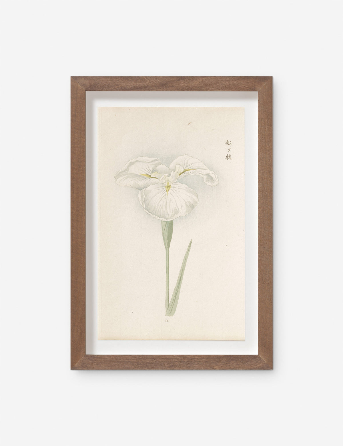 Vintage Japanese Iris No. 10 Wall Art by Miyoshi Manabu