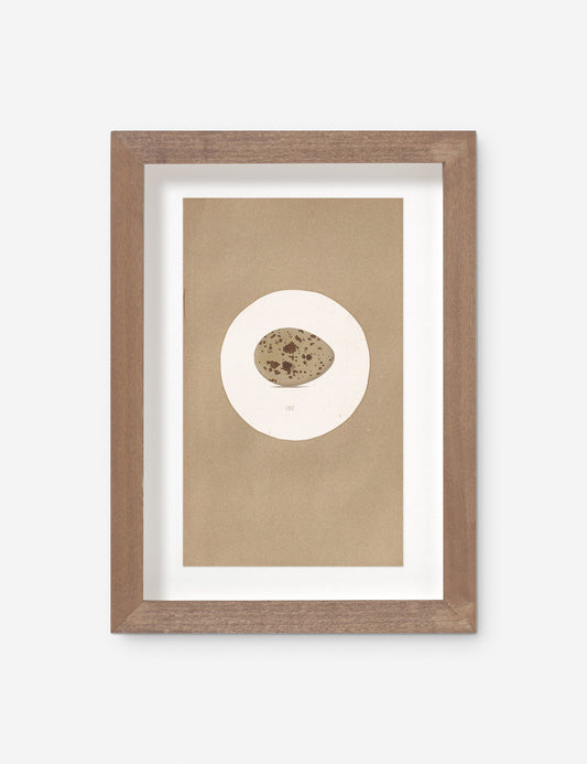 Vintage Bird Watercolor No. 185 Wall Art by Visual Contrast