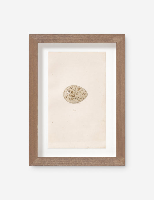 Vintage Bird Watercolor No. 305 Wall Art by Visual Contrast