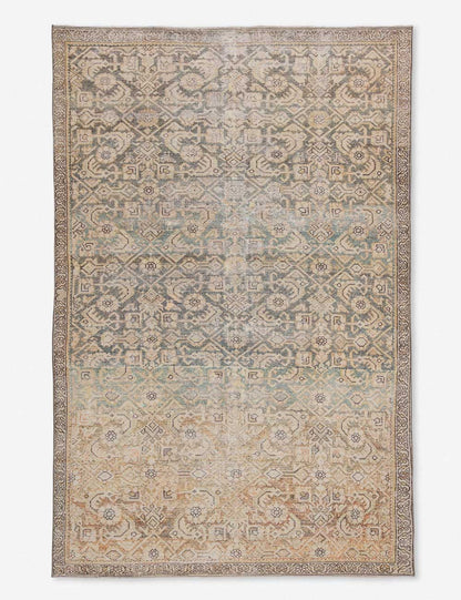 Open Box: Phedora Rug, 8'10" x 11'9"